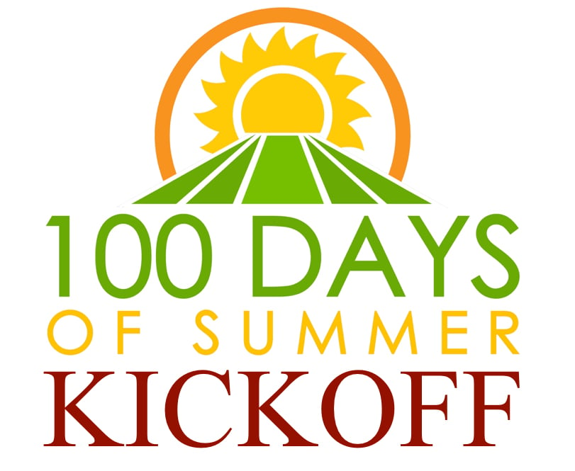 100 Days of Summer (more/less) How Will You Spend Them?